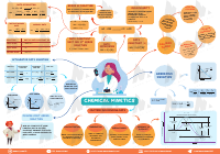 C4 Chemical Kinetics.pdf
